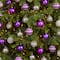 64ct. 3" Purple & Silver Shatterproof Ball Ornaments